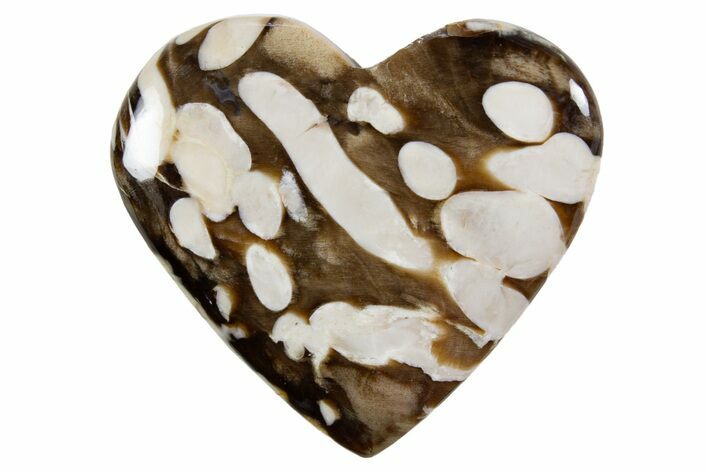 Polished Petrified Peanut Wood Heart - Australia #341907